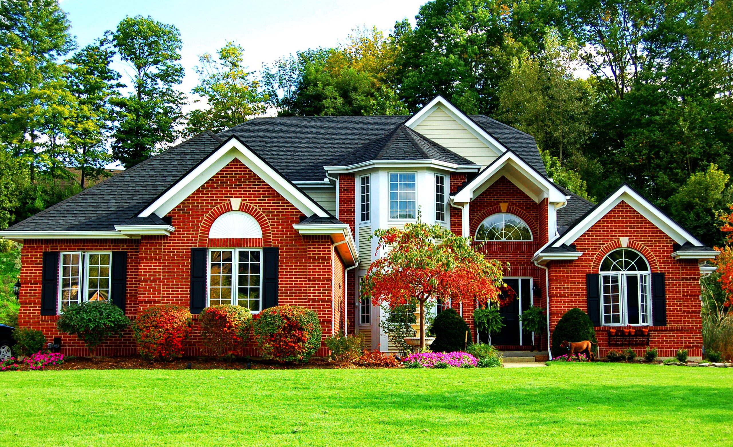 The Ultimate Solution for Clogged Gutters: How Leaf Filters Keep Your Home Safe and Dry